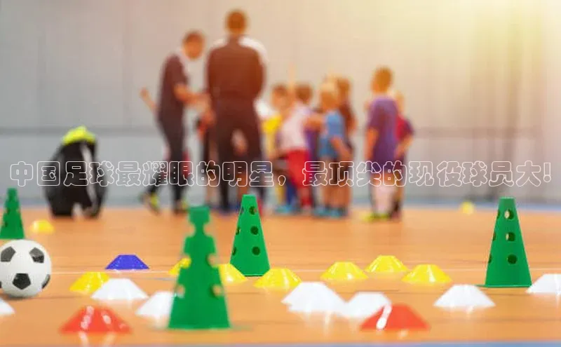 球盟会qmh网址每日互动中国足球最耀眼的明星，最顶尖的现役球员大!