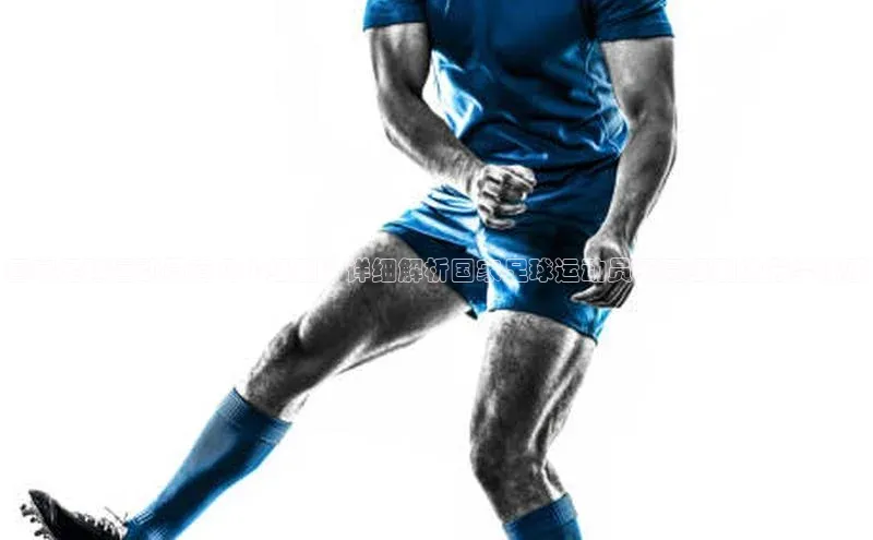 球萌会官方入口百度技术学院国家足球运动员有几个级别？详细解析国家足球运动员不同级别的分类体系