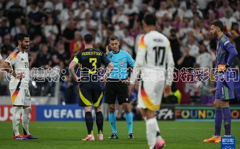 球盟会官网入口百度智能云飞羽健将：信鸽运动赛事的精彩瞬间