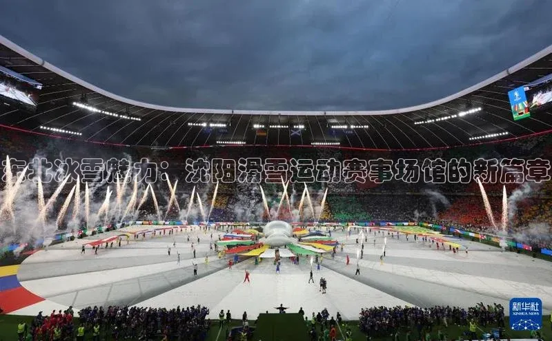 东北冰雪魅力：沈阳滑雪运动赛事场馆的新篇章