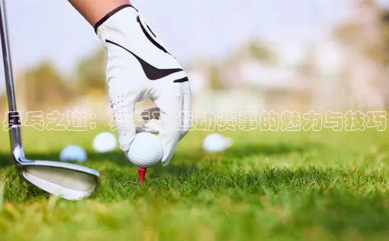 乒乓之道：乒乓球运动赛事的魅力与技巧