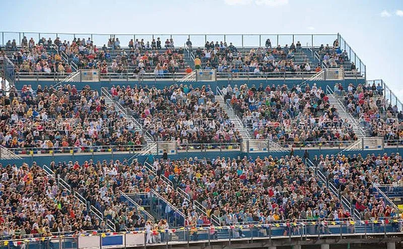 传承与激情：探讨中国传统文化的现代演绎——以龙狮运动赛事为例