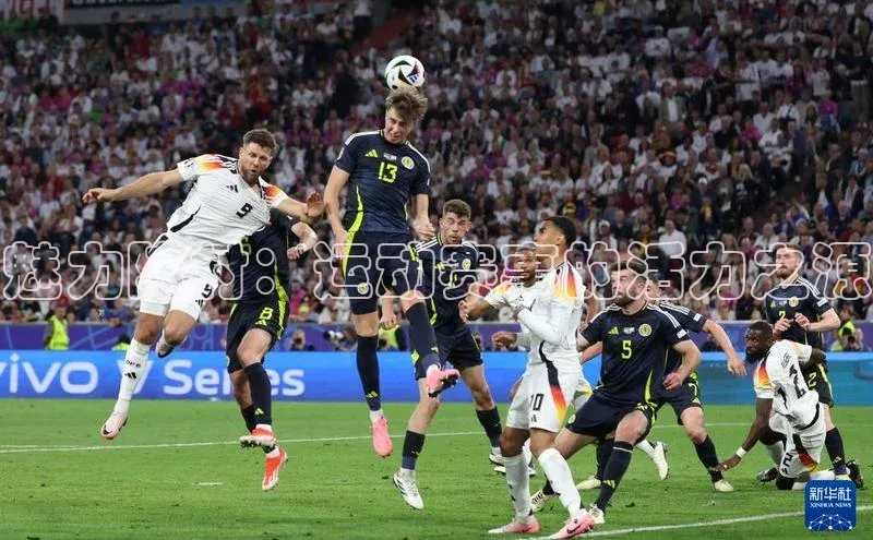 魅力陈村：运动赛事的活力之源