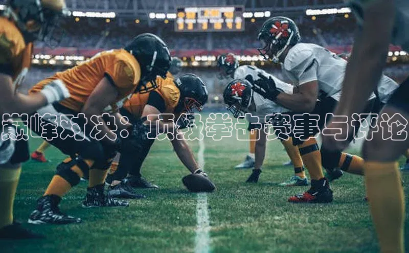 巅峰对决：顶级拳击赛事与评论