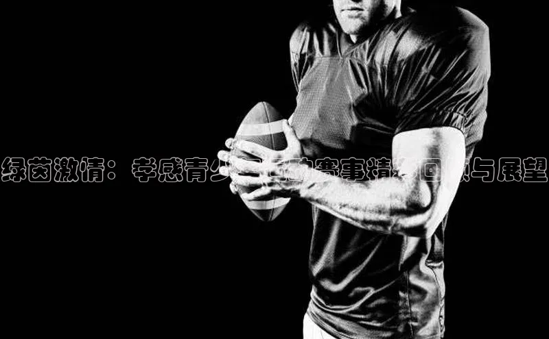 绿茵激情：孝感青少年运动赛事精彩回顾与展望