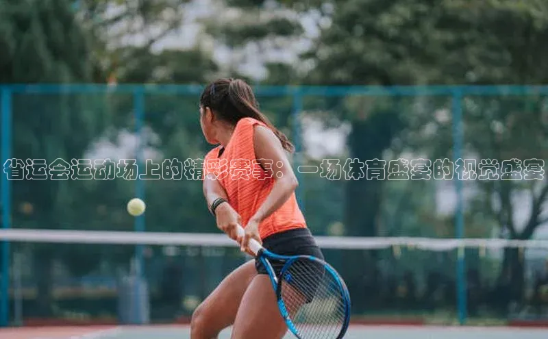 省运会运动场上的精彩赛事：一场体育盛宴的视觉盛宴