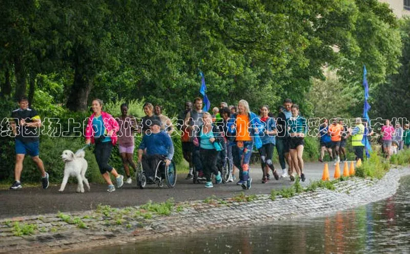 绿茵场上的激情：农村运动会的精彩赛事安排