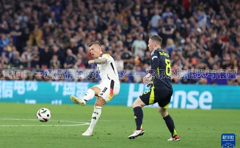 营口：一场激情的体育盛宴——赛事承办概览与展望