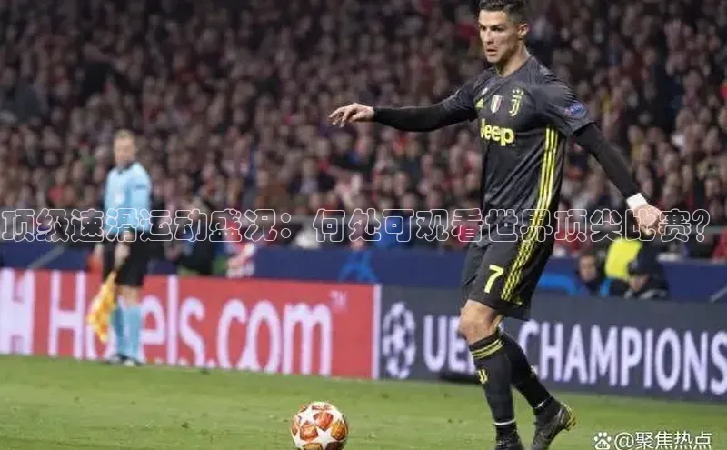 顶级速滑运动盛况：何处可观看世界顶尖比赛？