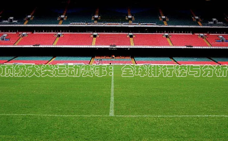 顶级犬类运动赛事：全球排行榜与分析